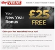 skyveg.webp