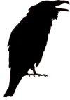 crow2-cm.png crow2-cm.png