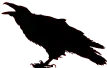 crow-cm.png crow-cm.png