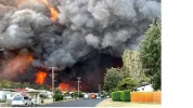 Taree fires.webp