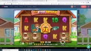 the dog house .webp