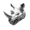 rhino.webp rhino.webp