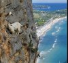 Brave goats on mountain ledge.jpg
