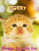 sorry.gif sorry.gif