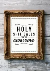 holy-shit-balls-243952-530-747_large.webp