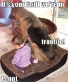 tumblr_mgp2s745tQ1r0wqrdo1_500.webp