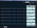 peng1.webp