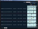 peng2.webp