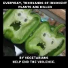 veggies.webp