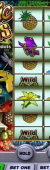 tropic.webp