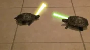 ninja turtles.webp