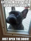 let me in.webp