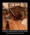 messy bed dog.webp