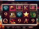 FinerX123_Jan13.webp
