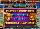 bulls.webp