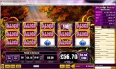 alice.webp