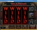 4.webp