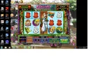 catmundu feb.webp