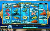 scatter 5.webp
