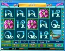 Thai paradise 300 x.webp