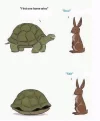 tort.webp
