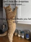 480D8403-D1BC-4B5A-AF8E-C7FED50264FE.webp