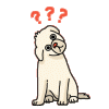 jj.gif