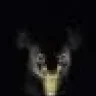 koalatee
