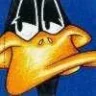 Daffy