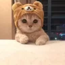 biffycakes
