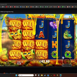 2.webp
