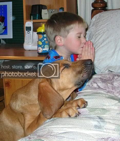 trulymansbestfriend.jpg