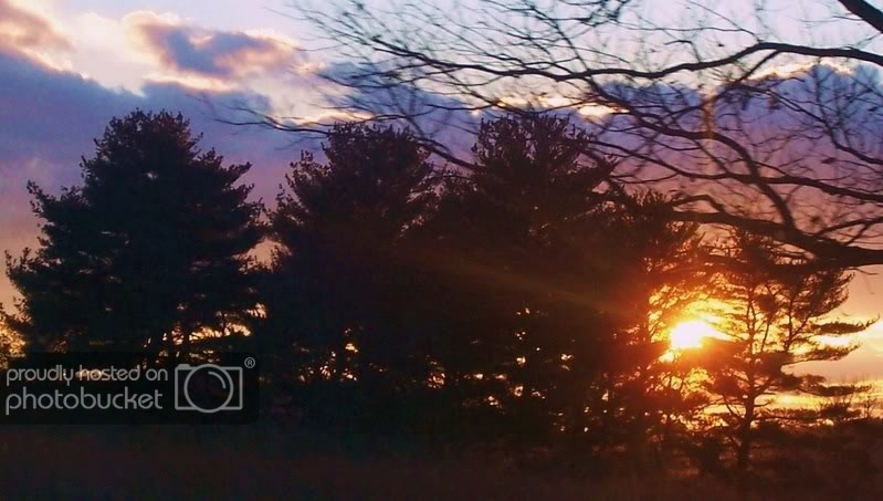 randomhighwayshots024.jpg