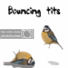 lincard1000.gif