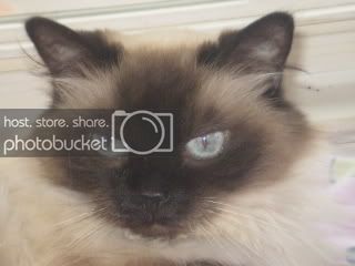 Clouie2.jpg