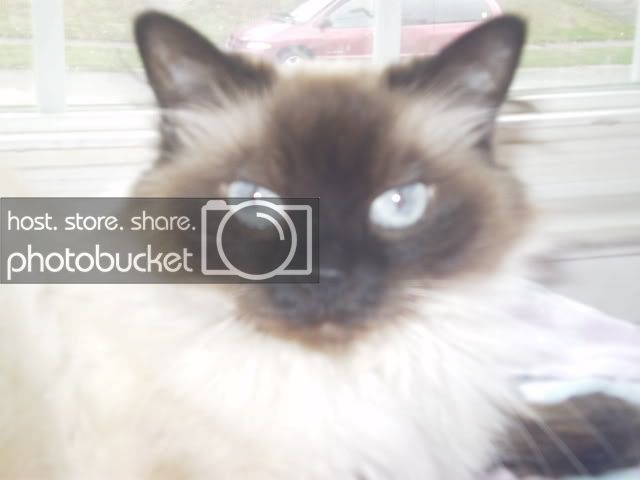 Clouie.jpg