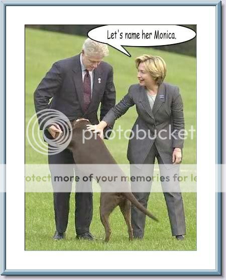 monica.jpg
