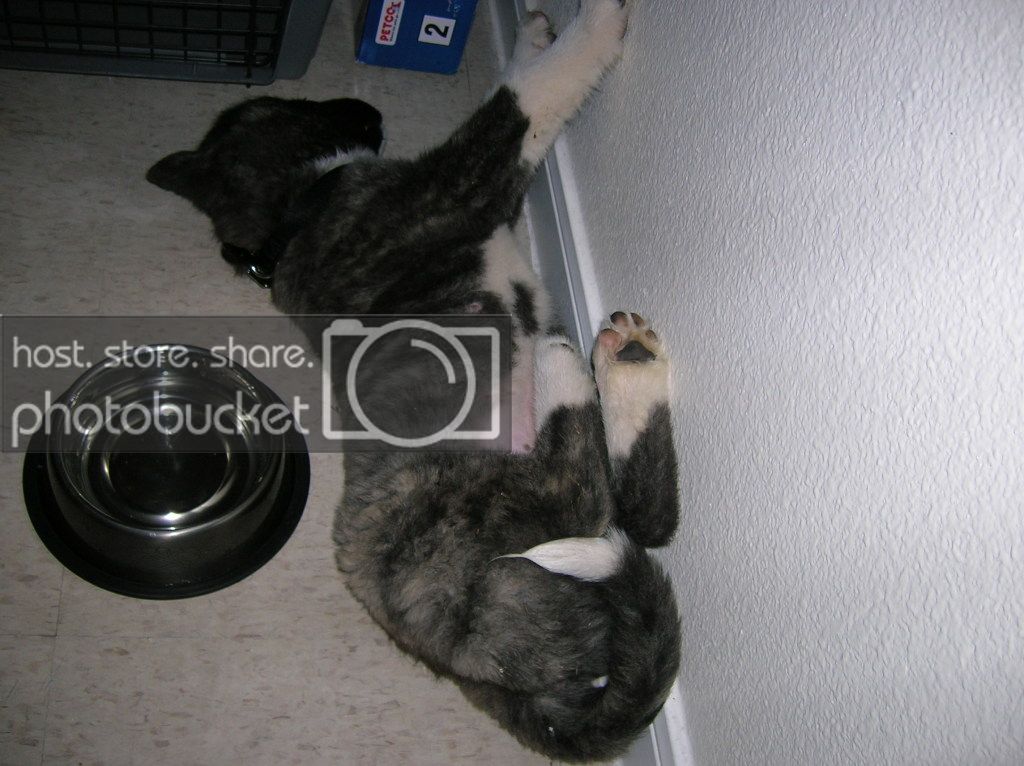 SleepTime001.jpg
