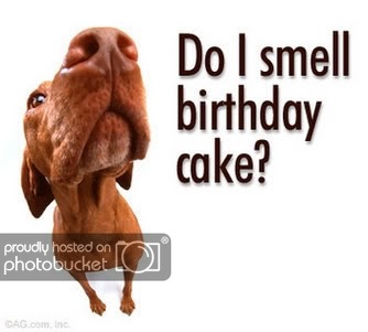 funny_dog.jpg