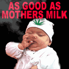 4400004180_0b1293138d_o.gif