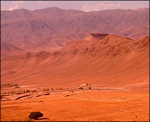 _40527303_redmorocco245.jpg