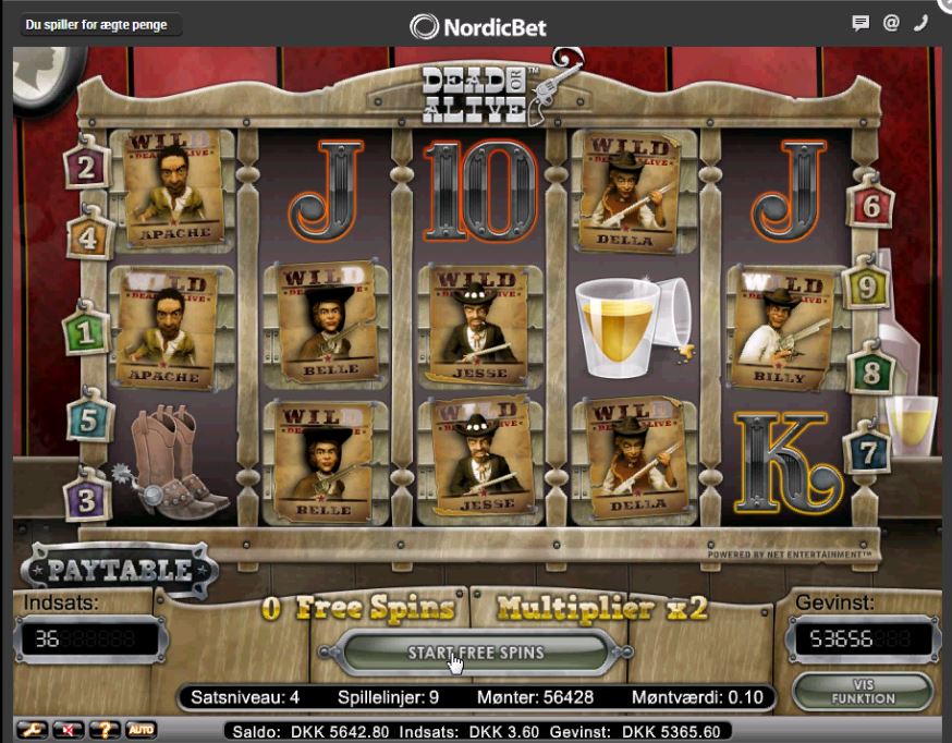 qpgin9.jpg