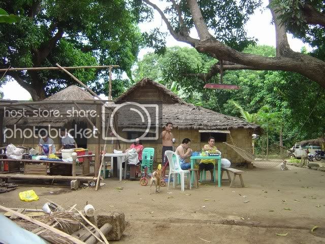 mini-Picture141.jpg