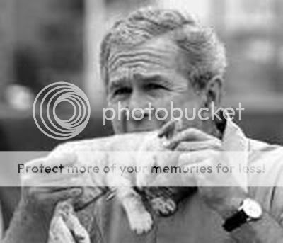 GeorgeBushEatingA_kitten.jpg