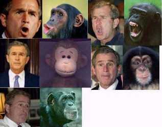 dubya.jpg