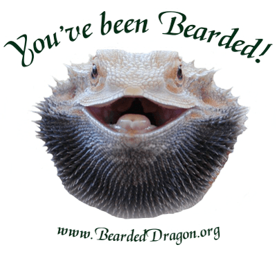 Bearded-Image.png
