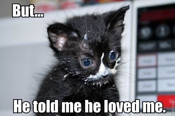 gaycat-731274.jpg