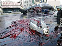 _39798861_whale_afp203body.jpg