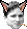 1.0