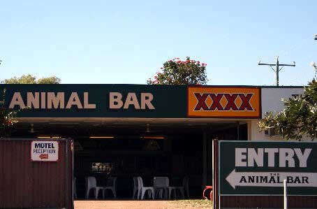 animal-bar-1.jpg